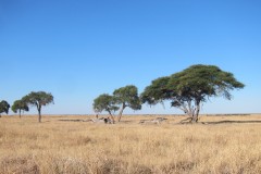 IMG_7189