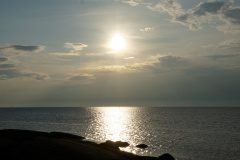 DSC04216